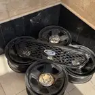جنوط بوليسي و شبك توروس