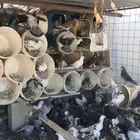 حمام مشكل تصفية