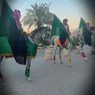 خيل وخياله وأبل ركايب للايجار للمناسبات