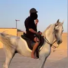 حصان شعبي