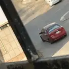 أفيو شفرلية