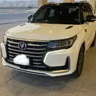 شانجان 2022 CS95 رويال