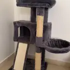 أغراض قطه للبيع