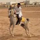 عرعر العويقيلة