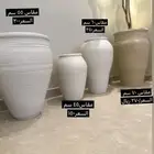 مراكن الاشجار بعروض