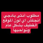 بادجي طيور حب انجلش أنثى