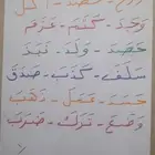 معلم تأسيس تمهيدي وصفوف أولية