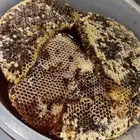 عسل طبيعي