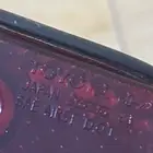ربع