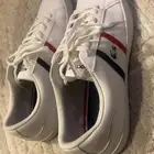 شوز لاكوست اصلي