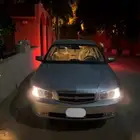 الاحساء