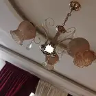 نجف 3 حبات