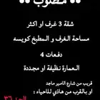 مطلوب شقة للايجار