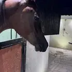 مهر واهو رفيع على عمره