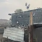 حم ام قطيفي