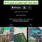 توزيعات اليوم الوطني  بروشات اليوم الوطني