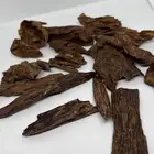 نوادر الكلمنتان الجاوي القديم