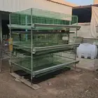 بطاريات دجاج بياض وسمان