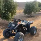 دباب سويدي