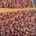 تمر صافي حبه وسط