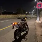 دباب صحراوي