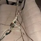 نحاس