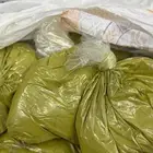 حنا وسدر المدينة