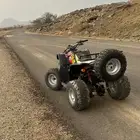 دباب سويدي