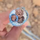 غطاس 3 بوصه و2 بوصه