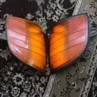 للبيع اركان مرسيدس شبح اصلي