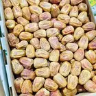 سكري مفتل حبه طيبه متوفر كميات جمله 3 كيلو