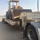 لوبد متواجد في سكاكا الجوف