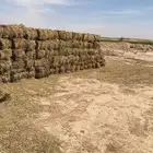 بلوبنك شد طيب