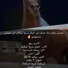 خيل واهو شيخ للبيع