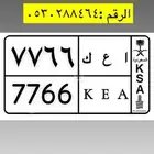 لوحة 7766