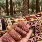 برني العيص الفاخر