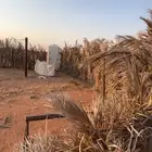 مخيم للبيع مستعجل