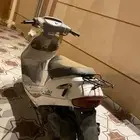 دباب بطه