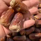 برني فاخر