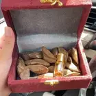 العود الازرق عروض اليوم الوطني