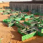 الرياض