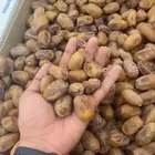 تمر خلاص حبه كبير نوع فاخر لون اشقر  تمر صقعي حبه كبير فاخر