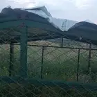 شبوك غنم اوطيور مقاس 3 في 3