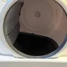 حمام قطط كهربائي