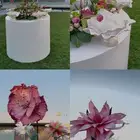 للبيع طاولة تقديمات