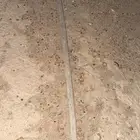 مطلوب دجاج فيومي في بيشه او صوص فيومي