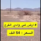 ارض في وادي الفرع ب 54 الف