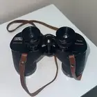 دربيل ياباني