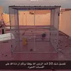 تفصيل شبوك . محاكر