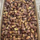برني حبه كبير